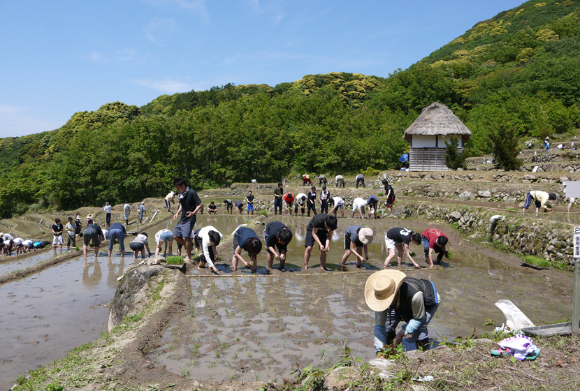 松崎町石部棚田