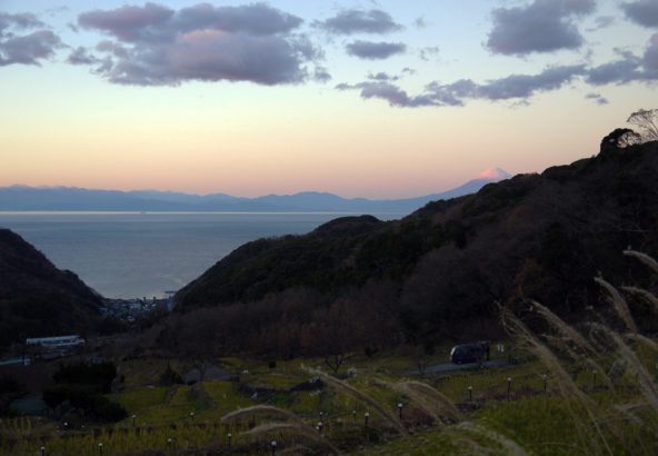 松崎町石部棚田