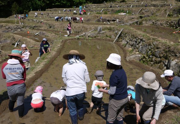 松崎町石部棚田