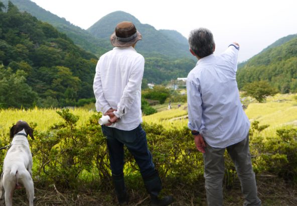 松崎町石部棚田