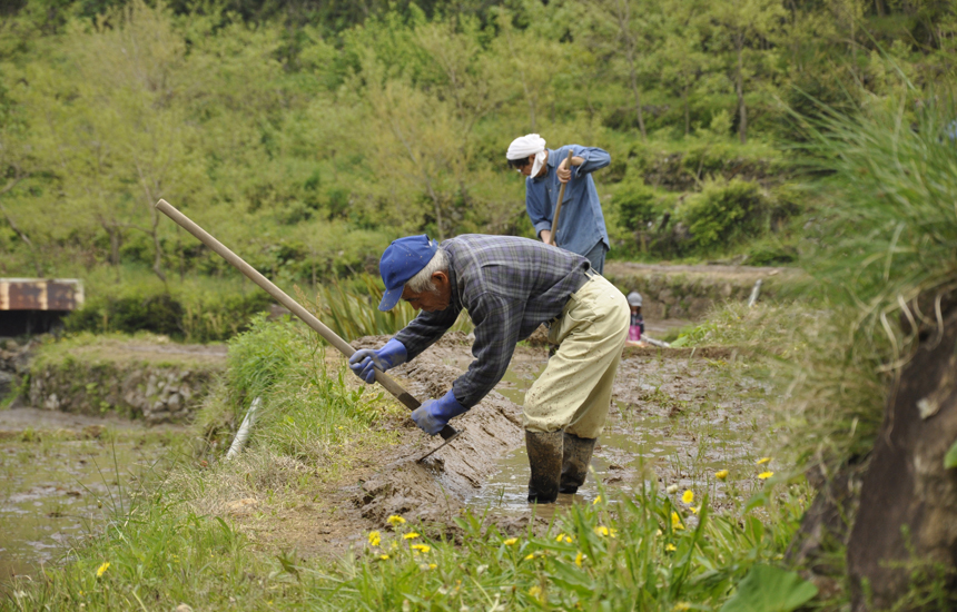 石部棚田の農作業